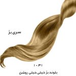 رنگ مو سوپر کراتينه بلوند بژ خيلی خيلی روشن کد 10.31 حجم 100 ميل نيترو پلاس - nitro - Image 2