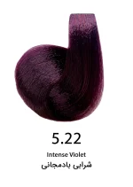 رنگ مو حجم 120 ميل شرابی بادمجانی کد 5.22 سيلا - Sila - Image 2