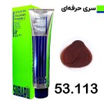 رنگ مو حجم 120 ميل دار چيني کد 53.113 سوبارو - SUBARU
