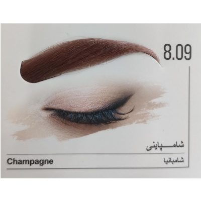 کيت رنگ ابرو شامپاينی کد 8.09 حجم 30 ميل ماگرای - MAGRAY