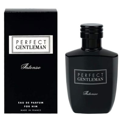 ادو پرفيوم مردانه آرت اند پرفيوم مدل PERFECT GENTLEMAN حجم 100 ميل هات استار - HOTSTAR